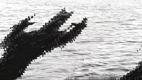 The Monster of Phantom Lake