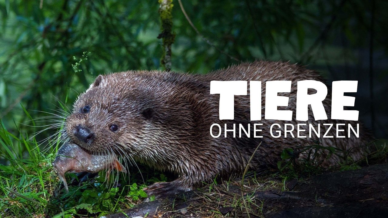 Tiere ohne Grenzen